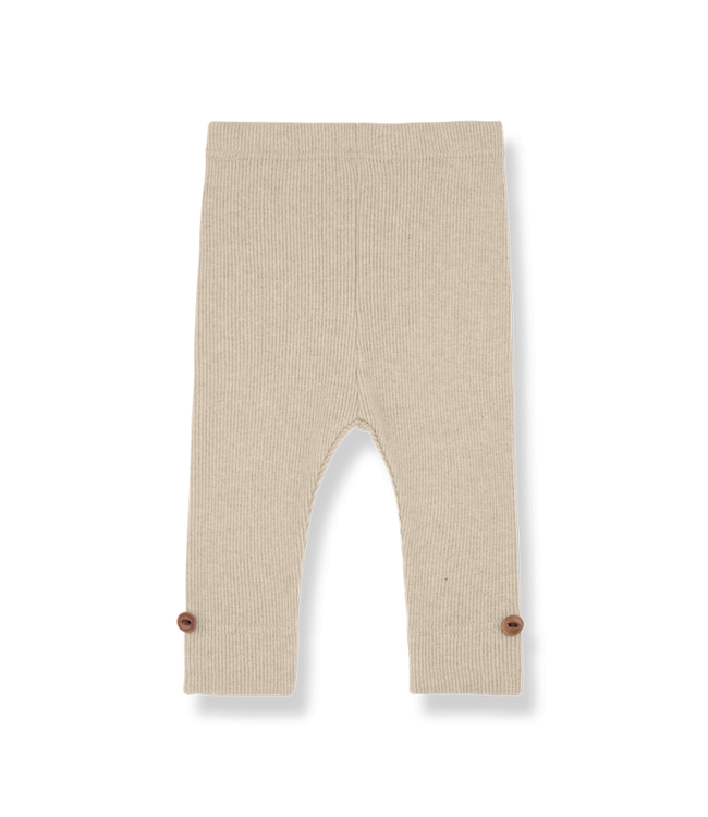 1 + in the family SINA Tortora