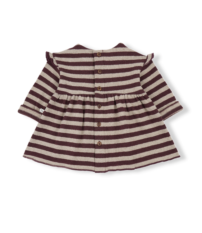 1 + in the family THEA melanzana