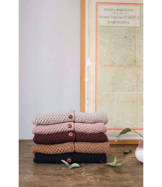 1 + in the family MALENE-bb melanzana