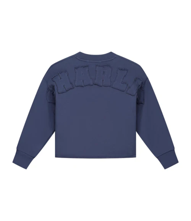 Charlie Petite Lux Sweater Denim blue