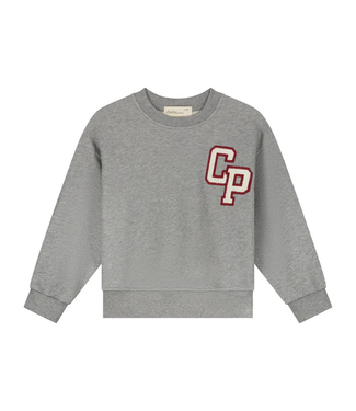 Charlie Petite Jackson Sweater Grey melange