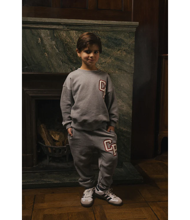 Charlie Petite Jackson Sweater Grey melange