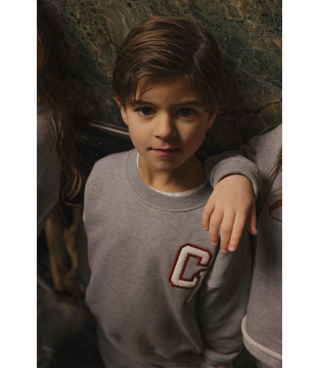 Charlie Petite Jackson Sweater Grey melange