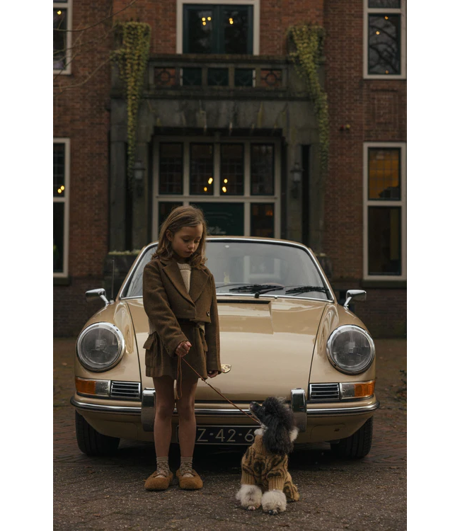 Charlie Petite Noa skirt brown melange