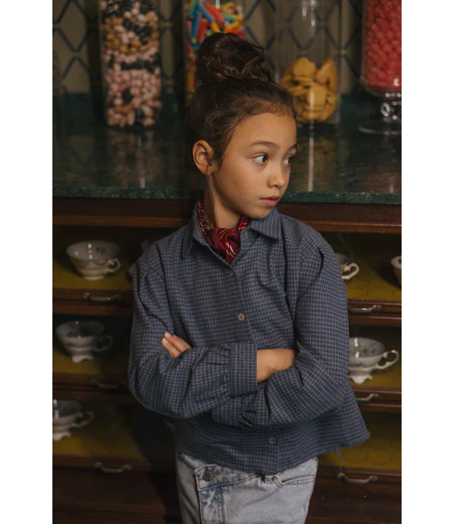 Charlie Petite Niki Blouse Blue/grey checked
