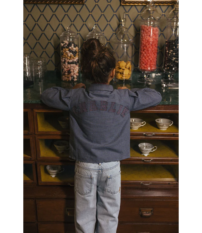 Charlie Petite Niki Blouse Blue/grey checked