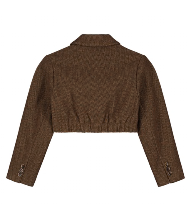 Charlie Petite Nora cropped blazer brown melange