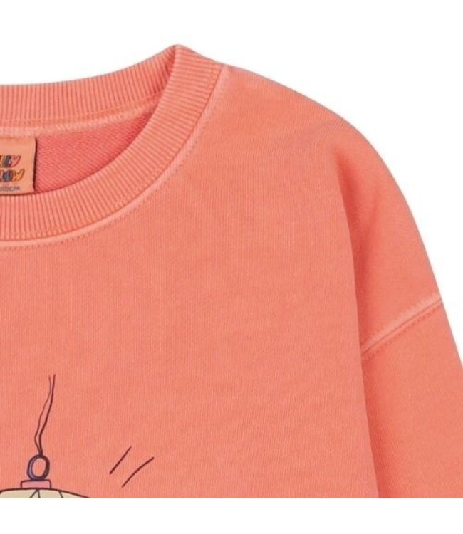 Jelly Mallow Disco ball pigment sweatshirt