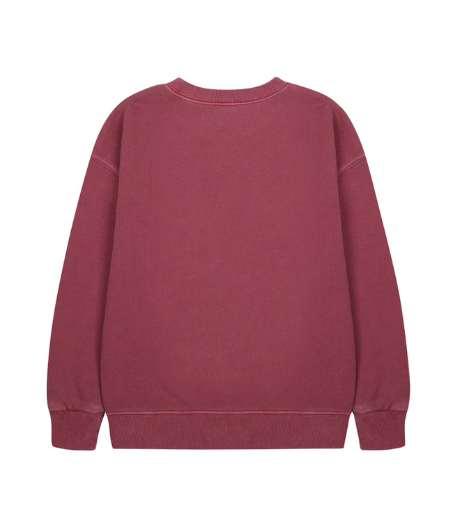 Jelly Mallow Flying bird pigment sweatshirt