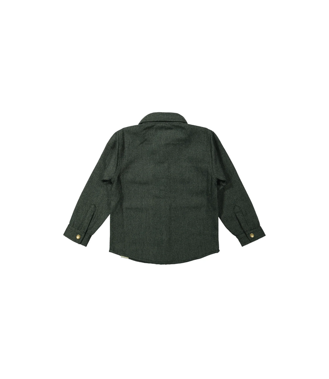 Mr. Loutre Kesper Conifer