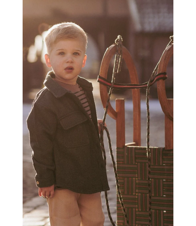 Mr. Loutre Kesper Conifer