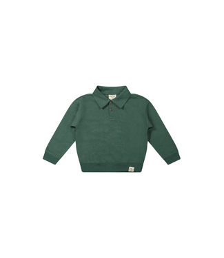 Mr. Loutre Yves Conifer