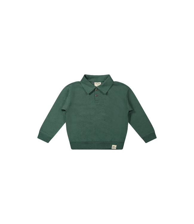 Mr. Loutre Yves Conifer