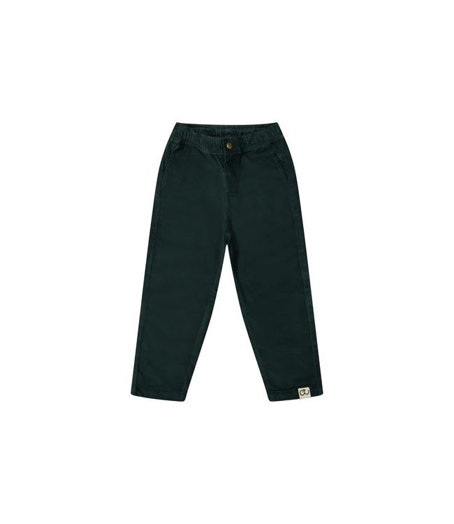 Mr. Loutre William Conifer