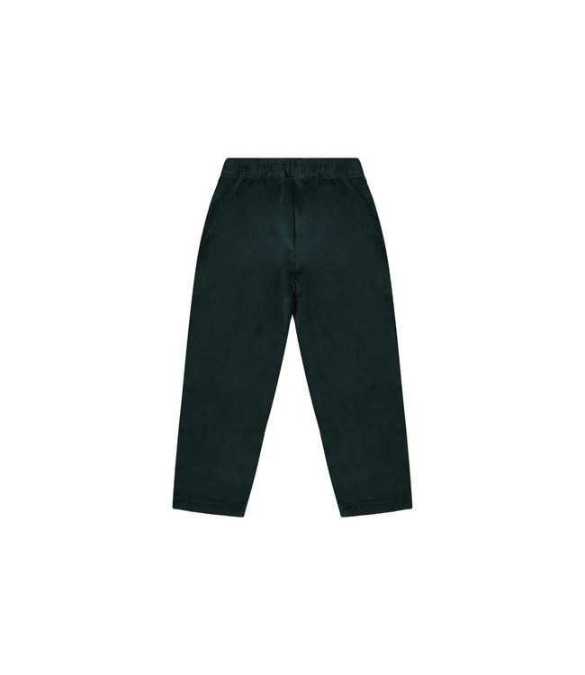 Mr. Loutre William Conifer