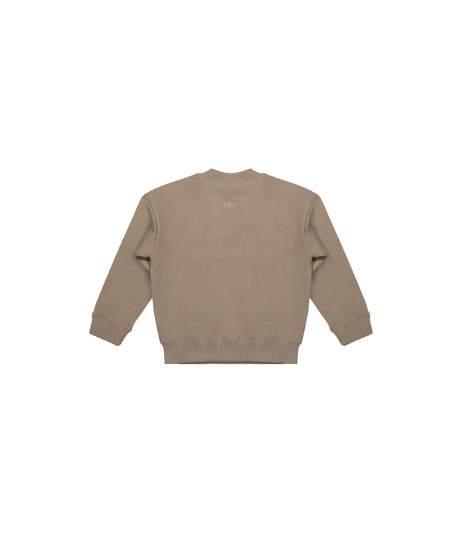 Mr. Loutre Elias Funghi