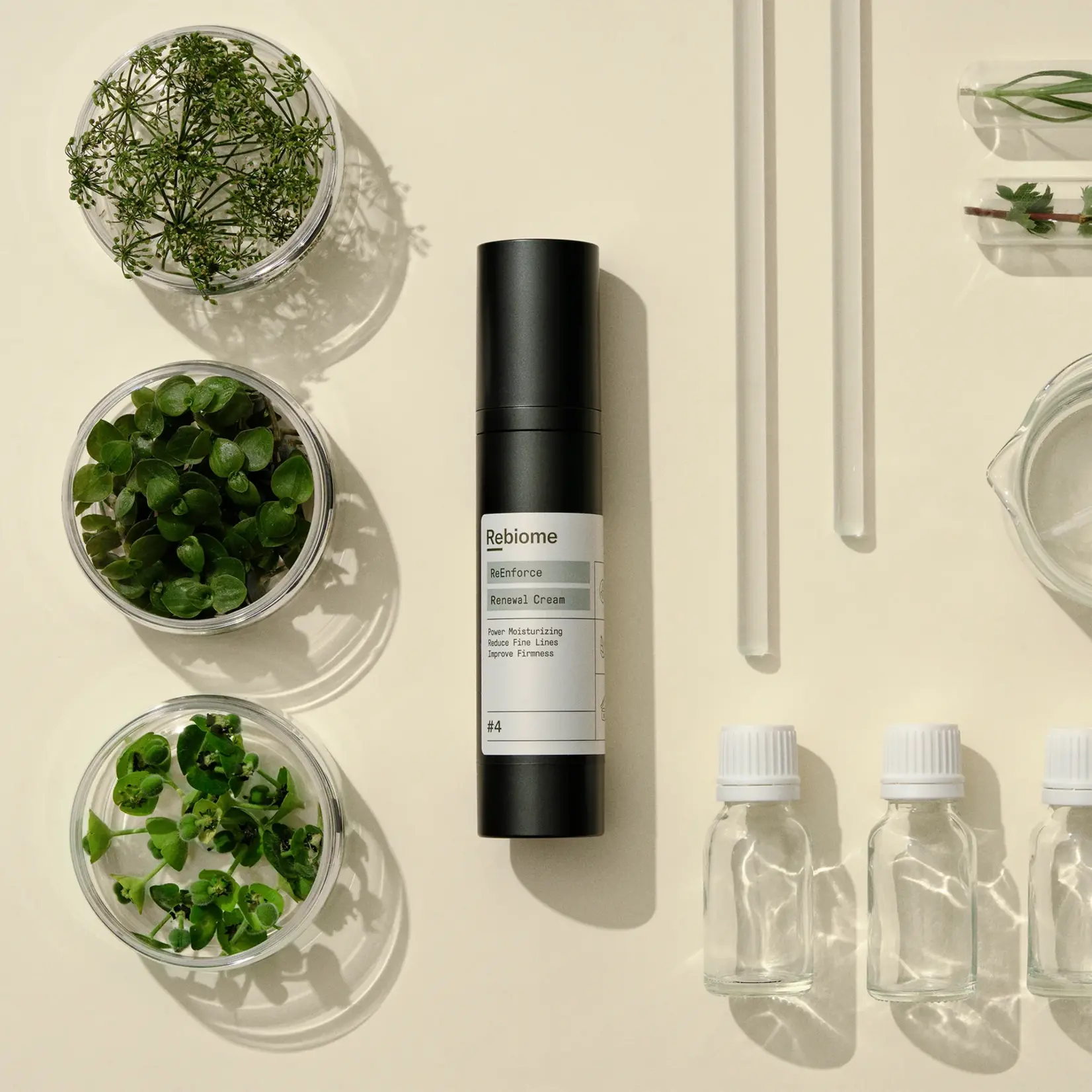 ReEnforce - Renewal Cream