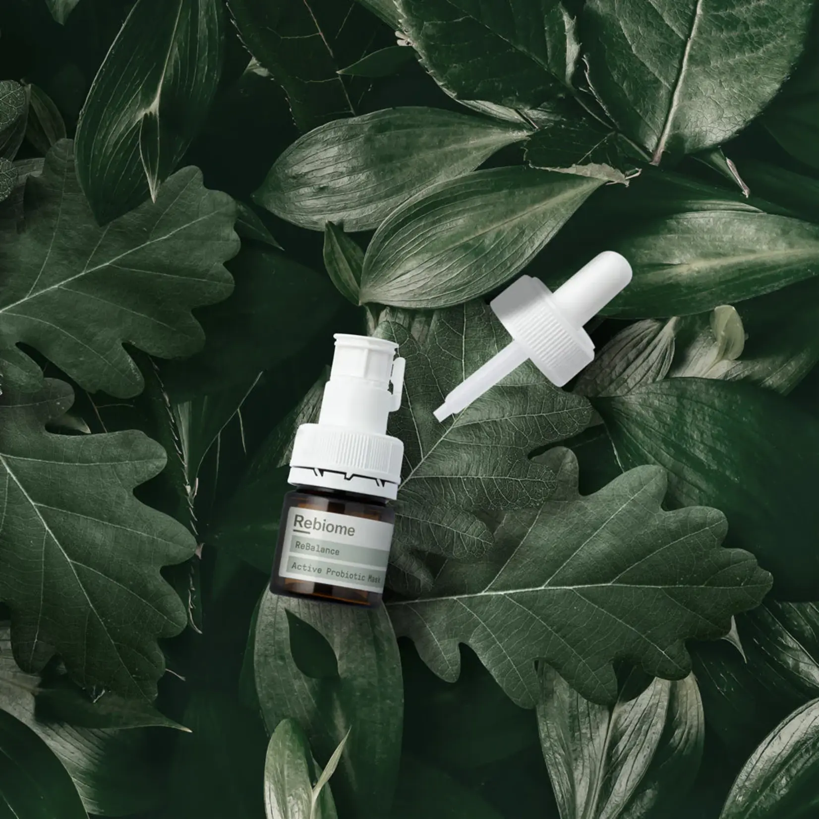ReBalance - Active Probiotic Mask