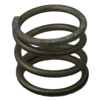 DirZone Spring for valve knob