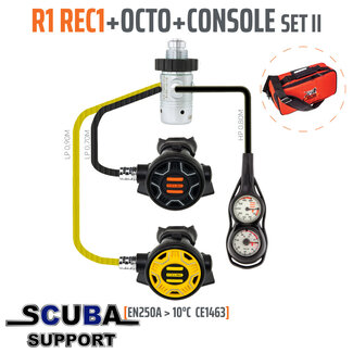 Tecline Regulator R1 REC1 set II with octo and 2 elements console > 10°C