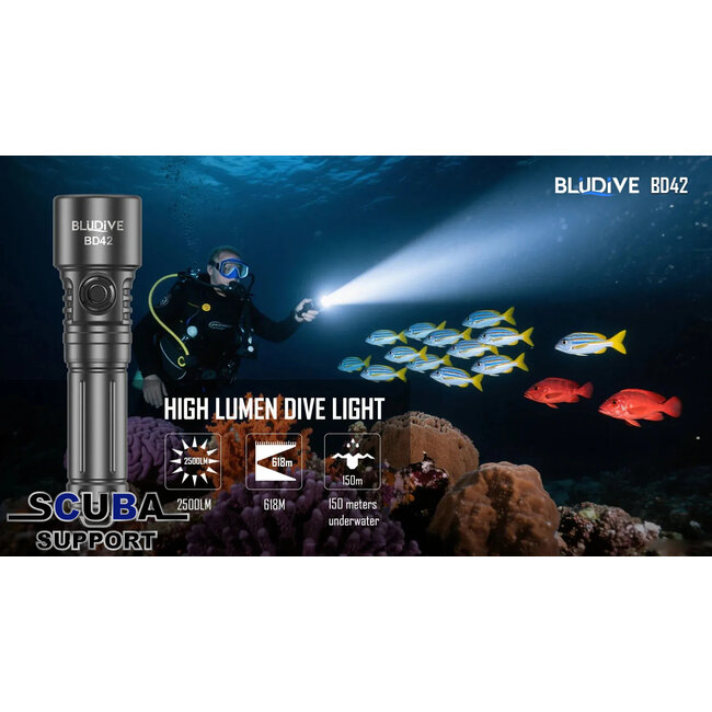 BLUDIVE 2500 Lumen Duiklamp BD42