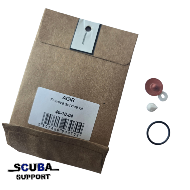 Agir P-valve service kit