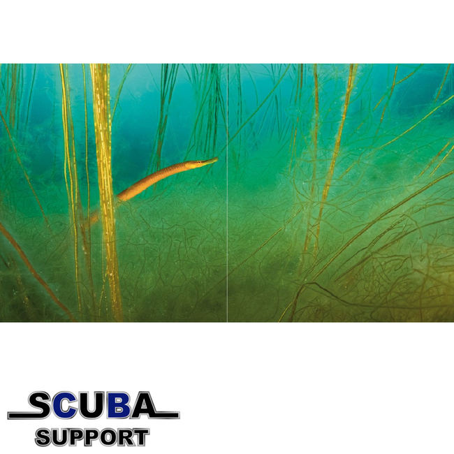 Scuba Support Book De Wilde Noordzee