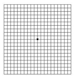 Oculus Amsler recordiing block 50 vellen