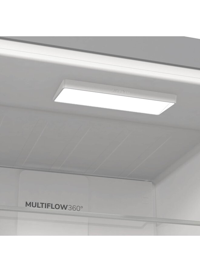 Gorenje R619CSXL6 | Koelkast | RVS