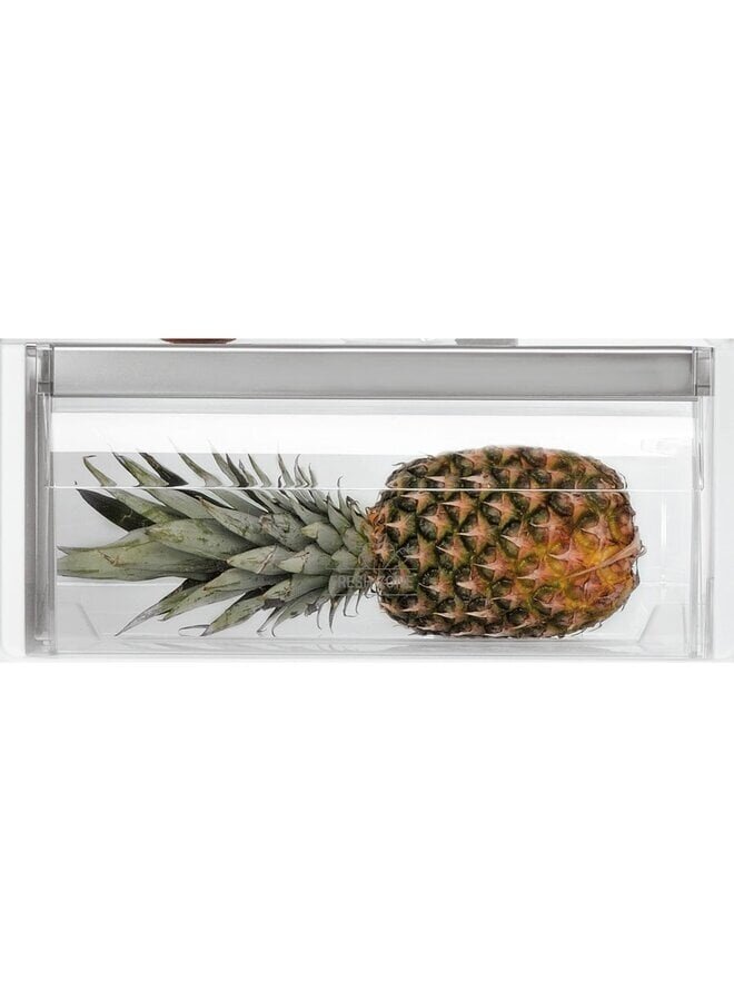 Bauknecht KGIL 180F2 P | Inbouw koelvriescombinatie | 178 cm