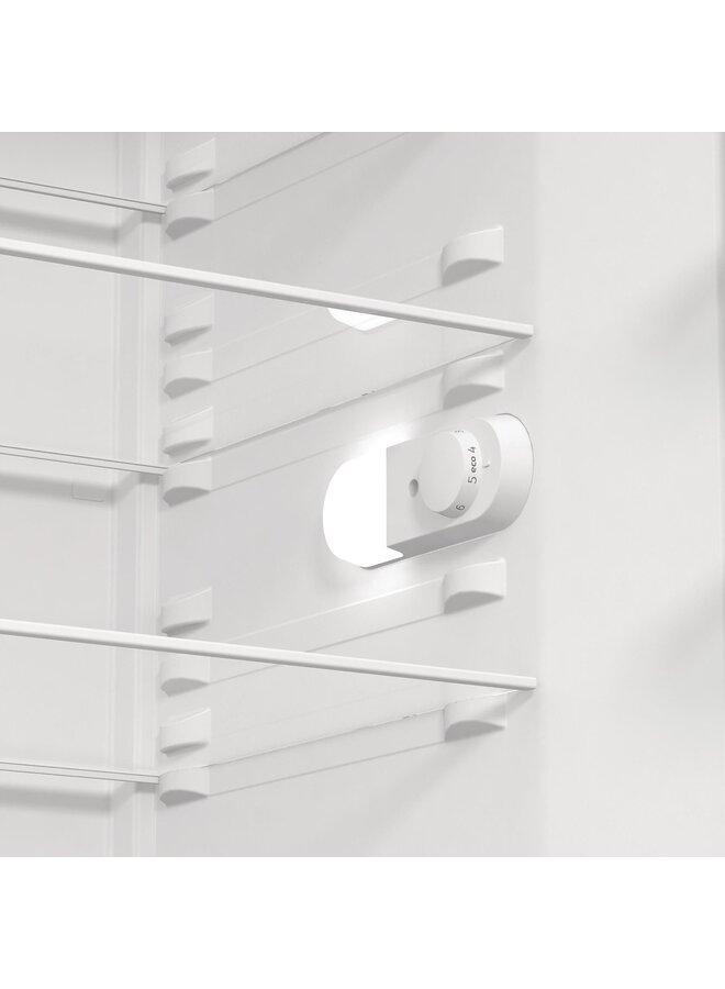 Gorenje  R619EES5 koelkast RVS