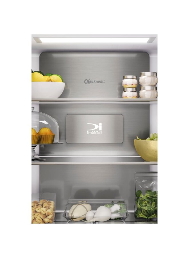 Bauknecht BKQ9 U3L EF amerikaanse koelkast
