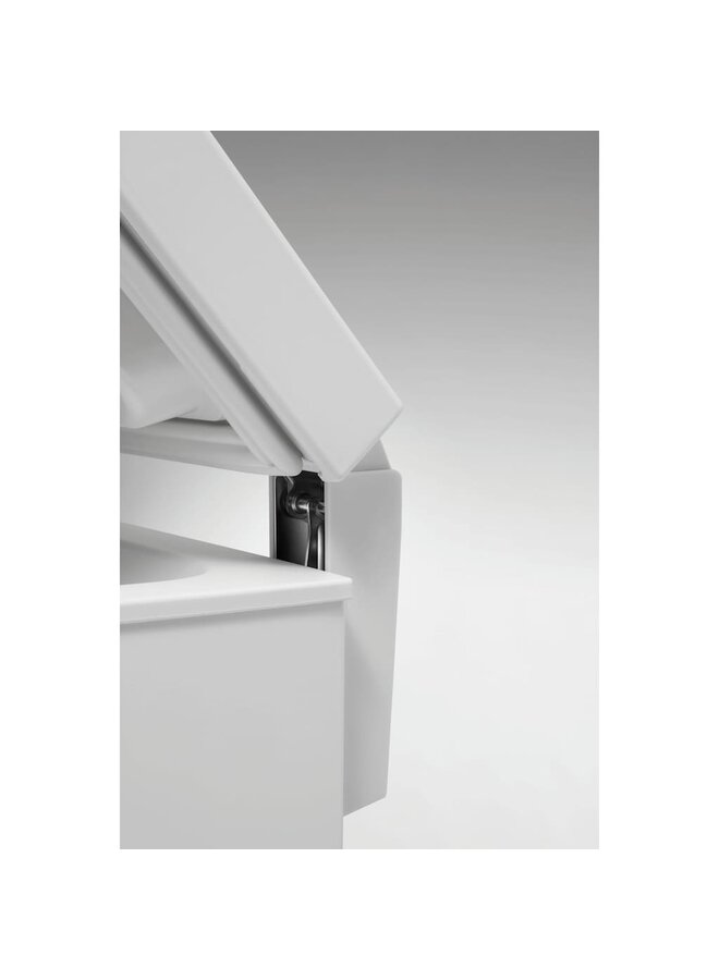 Bauknecht Vrieskist | Energielabel C | GTE 822