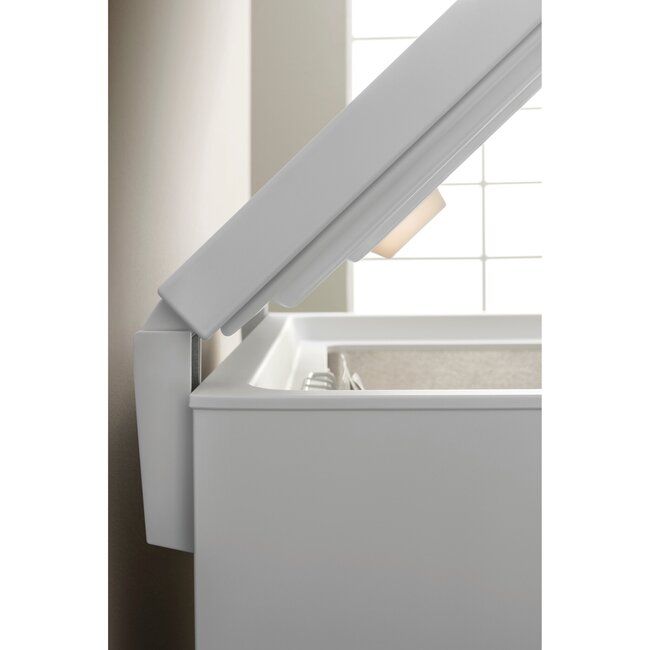 Bauknecht GTE C279 vrieskist | Label C | 279 ltr