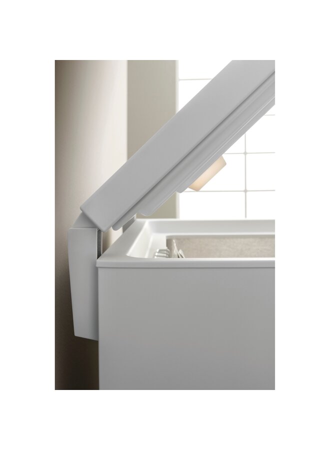 Bauknecht GTE C279 vrieskist | Label C | 279 ltr