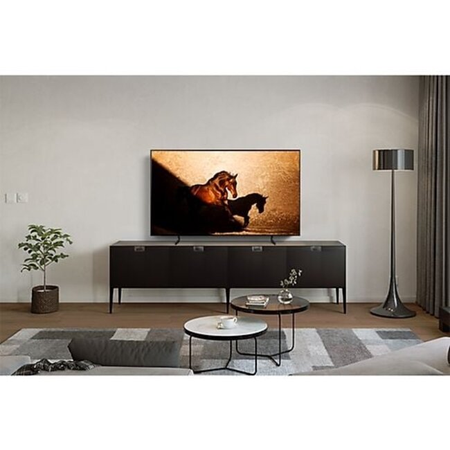 Samsung GQ65S85DAEXZG | 65 inch | OLED | 4K | Smart TV