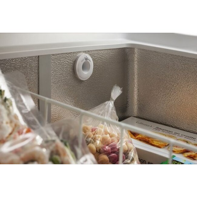 Bauknecht GTD 508 FA | Vrieskist | 315 ltr | Label D