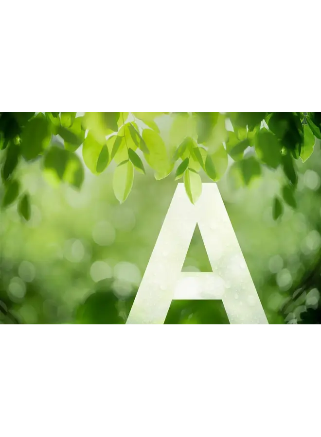 Gorenje NRK620AA1BXL4 | Koelvriescombinatie | label A