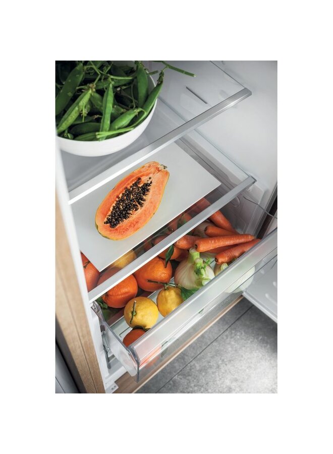 Hotpoint ( Bauknecht ) HSZ 18012 |  Inbouw koelkast | 178 cm