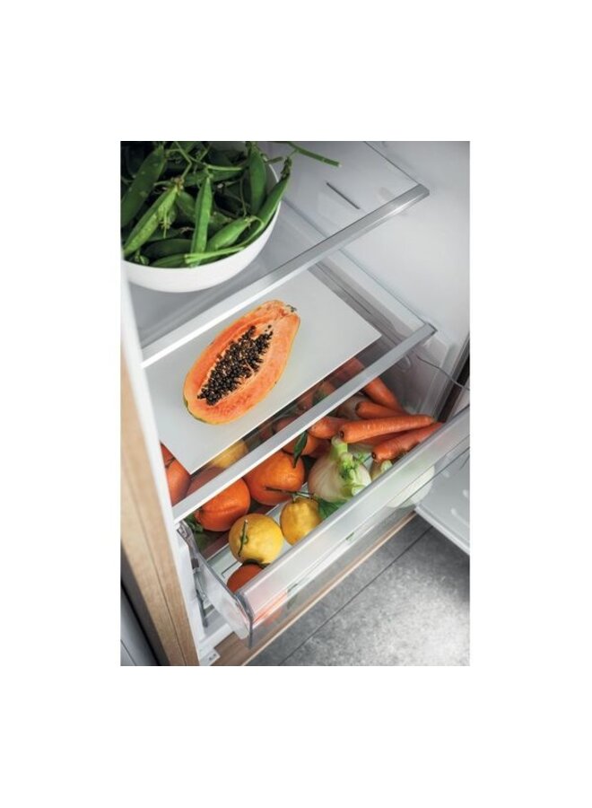 Hotpoint ( Bauknecht ) HS 18012 | Inbouw koelkast | 178 cm