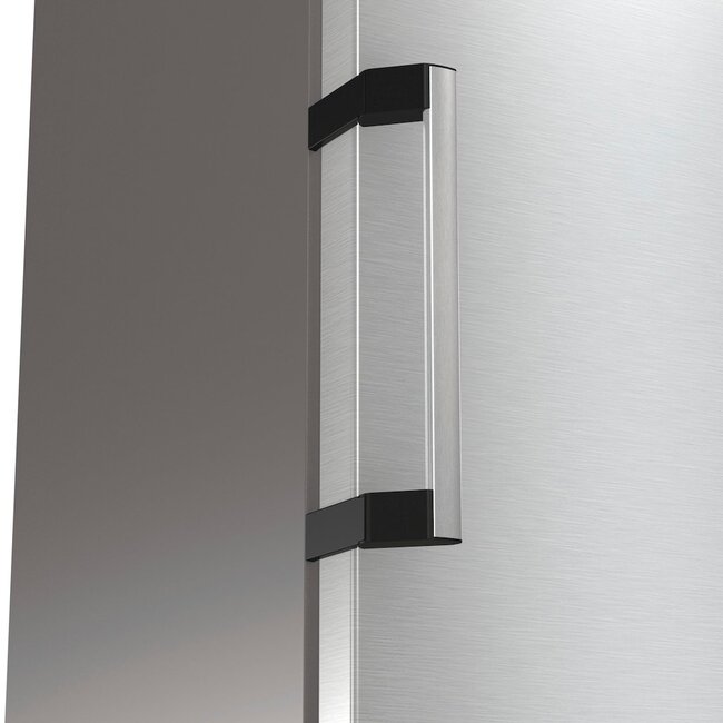 Gorenje R619DAXL6 | Vrijstaande koelkast | RVS