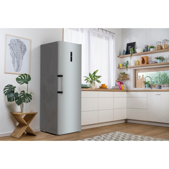 Gorenje R619DAXL6 | Vrijstaande koelkast | RVS