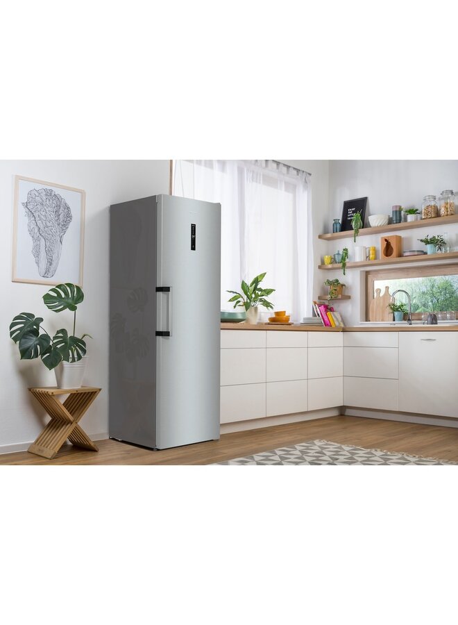 Gorenje R619DAXL6 | Vrijstaande koelkast | RVS