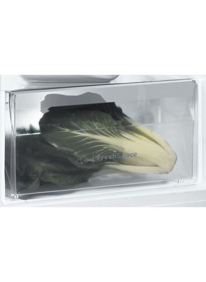 Indesit SI6 1 S  | Vrijstaande koelkast | Koeler | 323 Ltr