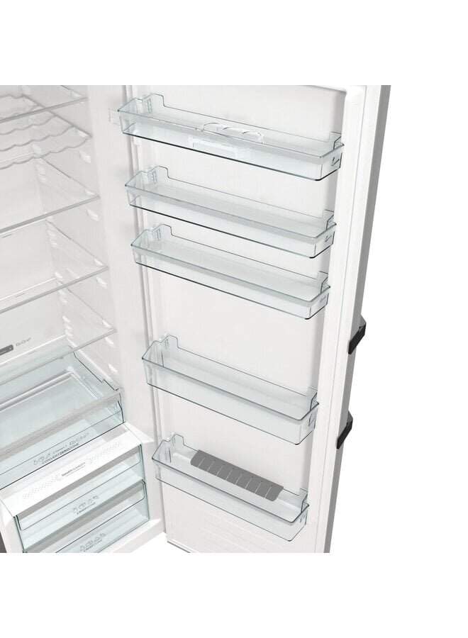 Gorenje R619CSXL6 | Koelkast | RVS | (B)