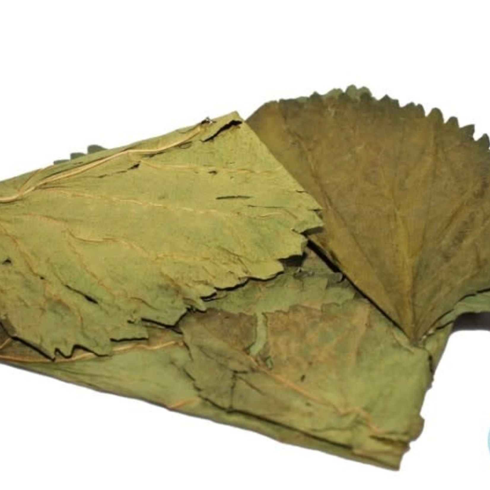 Ceramic Nature Mulberry Leaves 10x 8-15cm