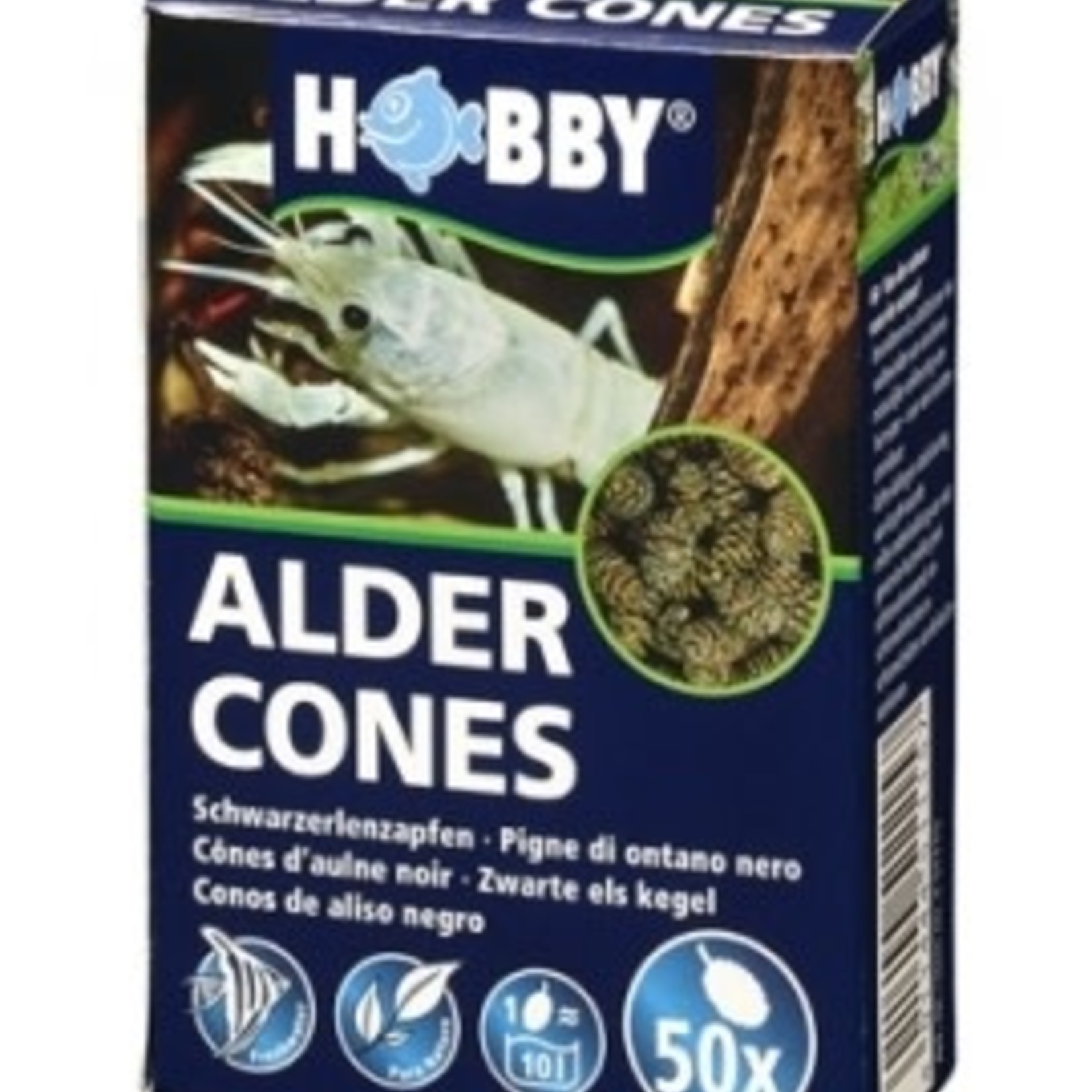Hobby ALDER CONES 50pc HOBBY (sur commande)