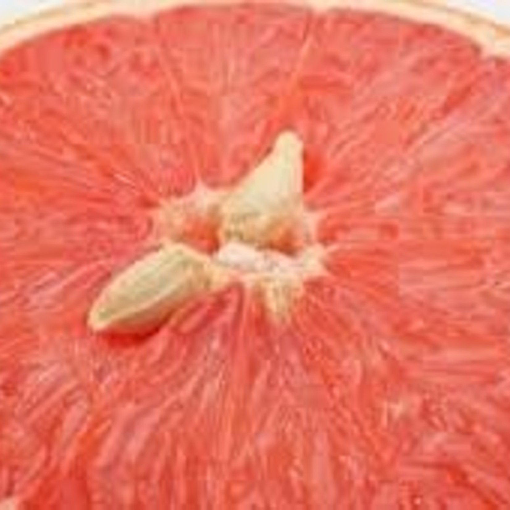 BioFishFood Grapefruit Seed Extract & Moringa