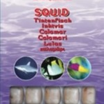 Ocean Nutrition squid