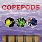 Ocean Nutrition Copépodes